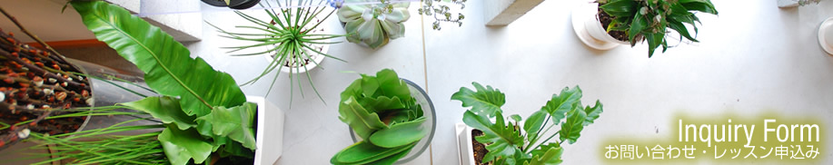 �G�݂ɂ���