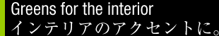 インテリアのアクセントに。