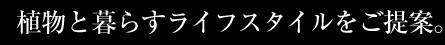 植物と暮らすライフスタイルをご提案