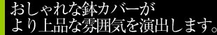 おしゃれな鉢カバーがより上品な雰囲気を演出します。